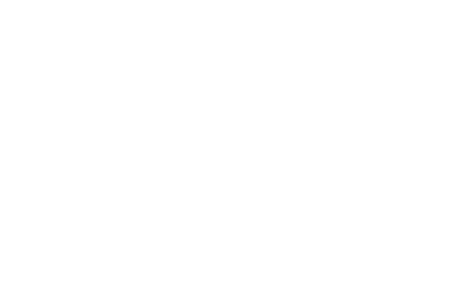 BOS_logo